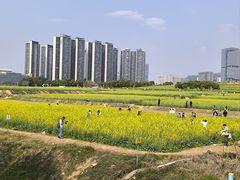 -光明小镇欢乐田园
