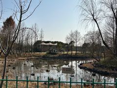 -自然谷恐龙园