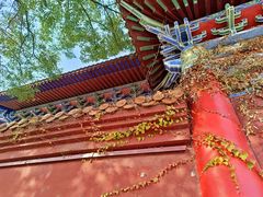 -皇罗禅寺