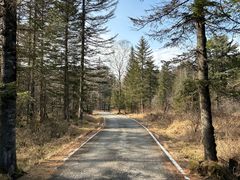 -长白山万达锦华套房酒店