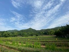 -养马岛旅游度假区