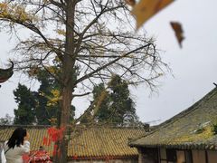 -金堂县云顶石城风景区