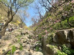 -泰山风景名胜区