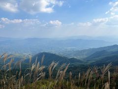 -大围山国家森林公园