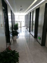 点击看大图 -悟空祛痘·诺奖技术专业店