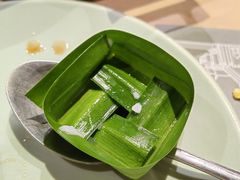 -mango tree芒果树(万象城店)