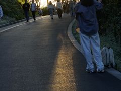 -云溪植物园