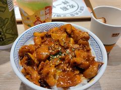 -吉野家(红博中央公园店)