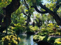 -Chom Cafe and Restaurant