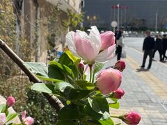 -八先生涮肉房(三里河店)