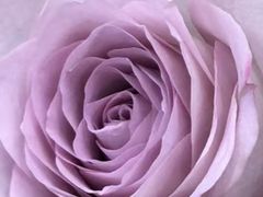 -阿波面馆(慈湖人家中区店)