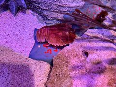 -沈阳海洋探索中心