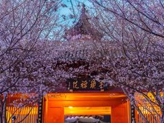 -牛首山文化旅游区