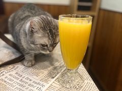 -隅cafe(傅厚岗店)