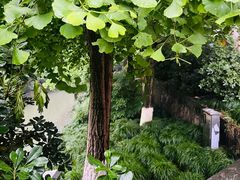 -鼓楼(西湖风景名胜区)