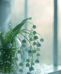 -小梨·OndaPro·专业脱毛连锁机构