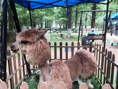 -宝岩生态观光园