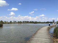 -盐城丹顶鹤湿地生态旅游区