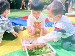 -天津蜂巢幼儿园·托育