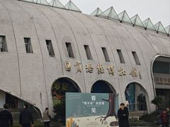 -自贡恐龙博物馆