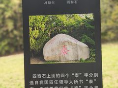 -梅园