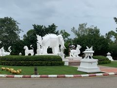 -清迈夜间动物园