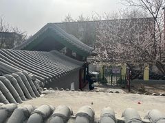 -桃花堤公园