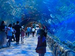-西安华夏文旅水世界