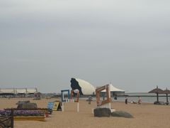 -碧海金沙