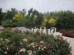 -大望京公园