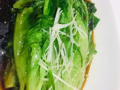 白灼罗马生菜-惠丰堂饭庄·烤鸭·京味菜(翠微路店)