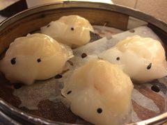 石頭魚餃-鸿星海鲜酒家(格兰中心店)