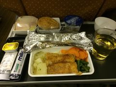 -新加坡航空公司(ION)