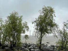 -上海吴淞炮台湾国家湿地公园