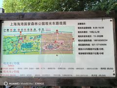 -上海海湾国家森林公园