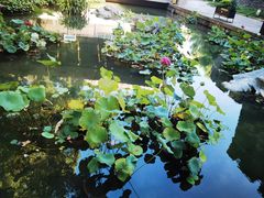 -鼓楼(西湖风景名胜区)