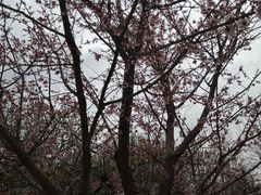 -阅海欢乐岛