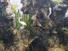 -海韵人家.海景花园经典云南菜(双廊店)