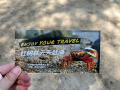 -红树林天天赶海