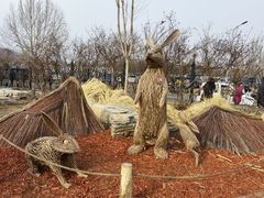 -北京西山国家森林公园