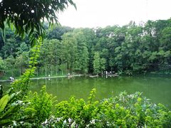 -深圳仙湖植物园