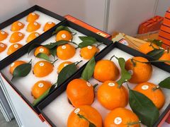 -宁波国际会展中心