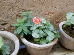 -艾提尕尔清真寺