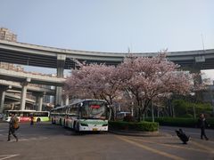 -上海南浦大桥长途旅游客运站
