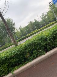 -HEYAN长风荷妍专业脱毛美肤
