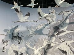 -中国湿地博物馆