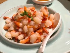 清炒虾仁-荟廷·晶萃(陆家嘴尚悦湾店)