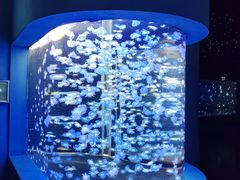 -太平洋海底世界