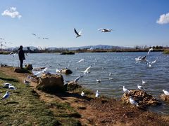 -呈贡滇池生态湿地公园