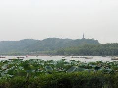 -湖畔居茶楼(湖滨店)